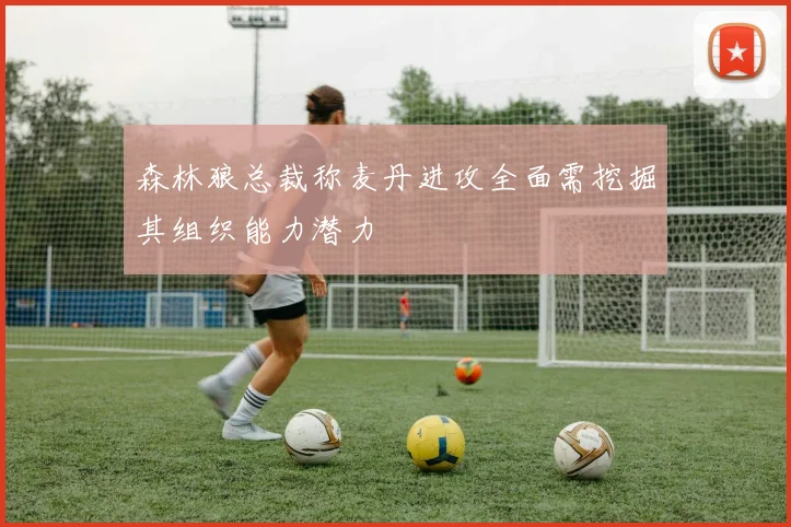 森林狼总裁称麦丹进攻全面需挖掘其组织能力潜力